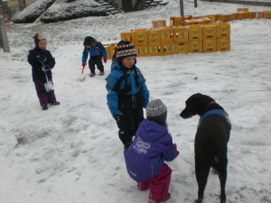 Ramses im Schnee (15)  